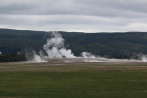 Steam from one of the many hot poos in Yellowstone rises up off the plain.