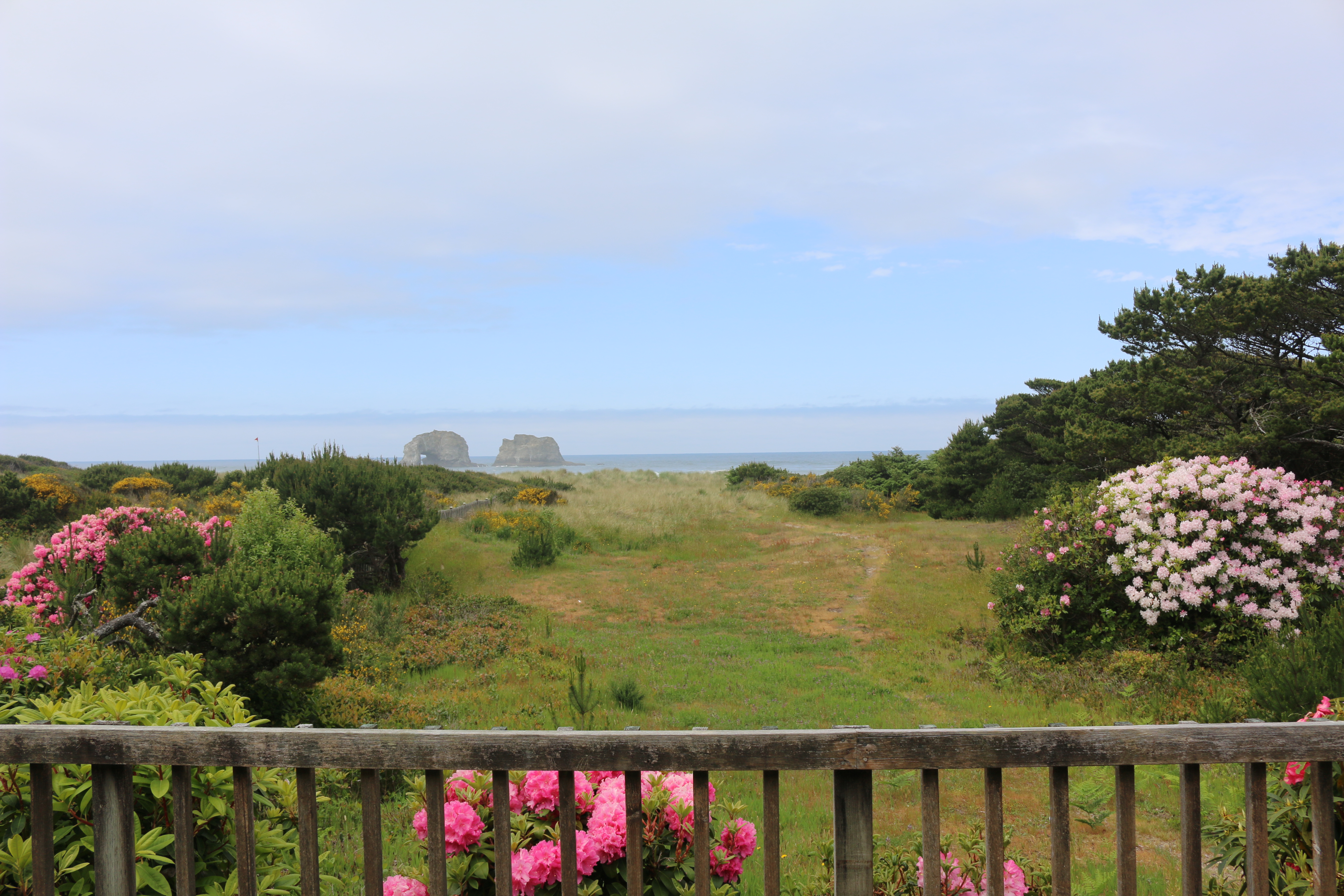 two large rocks in the ocean, a grassy and flowery garden, and a porch rail