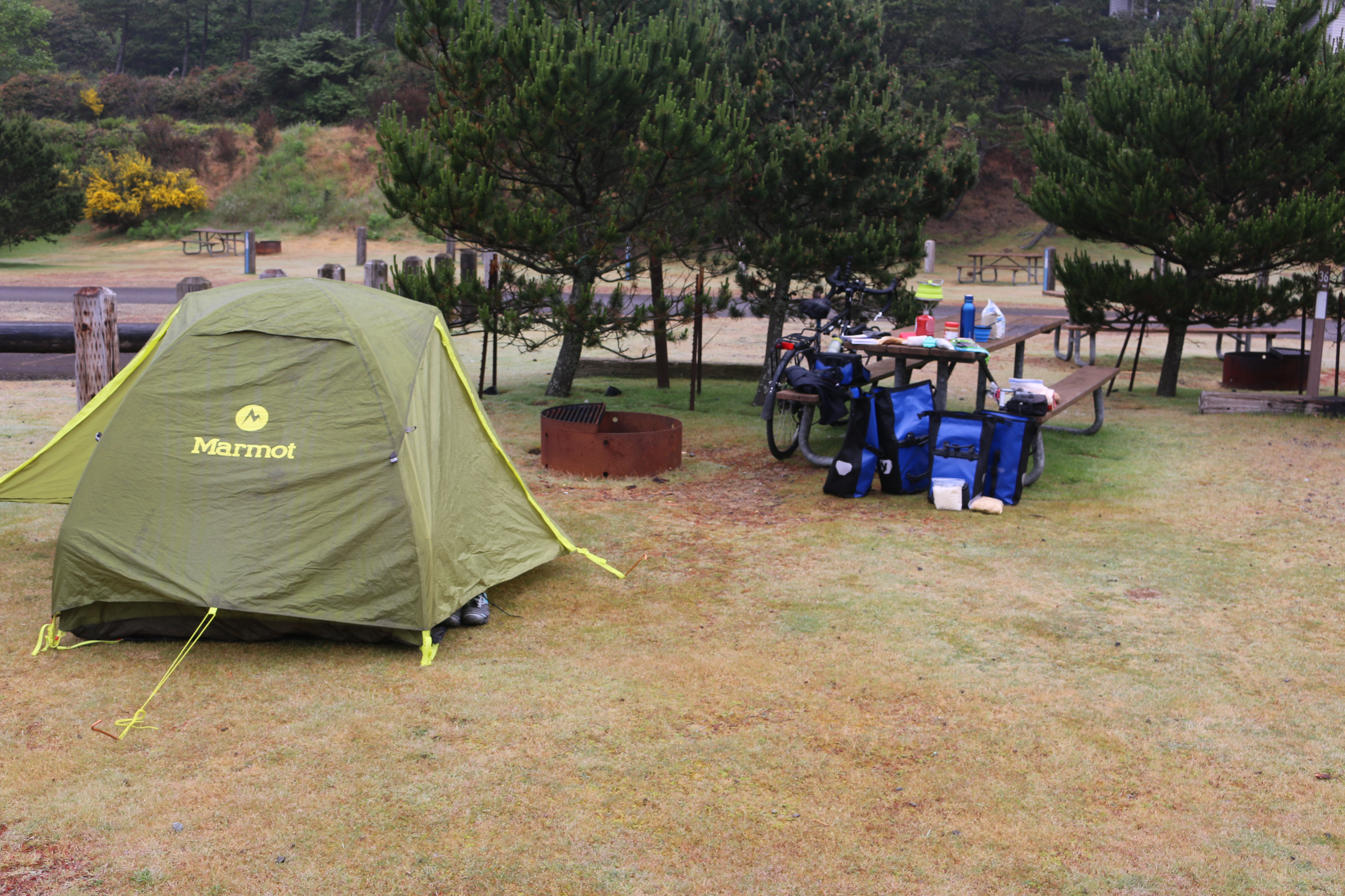 Tent on the left, unused firepit in the middle, on the right, a bike leaning on a picnic table that is strewn with gear.