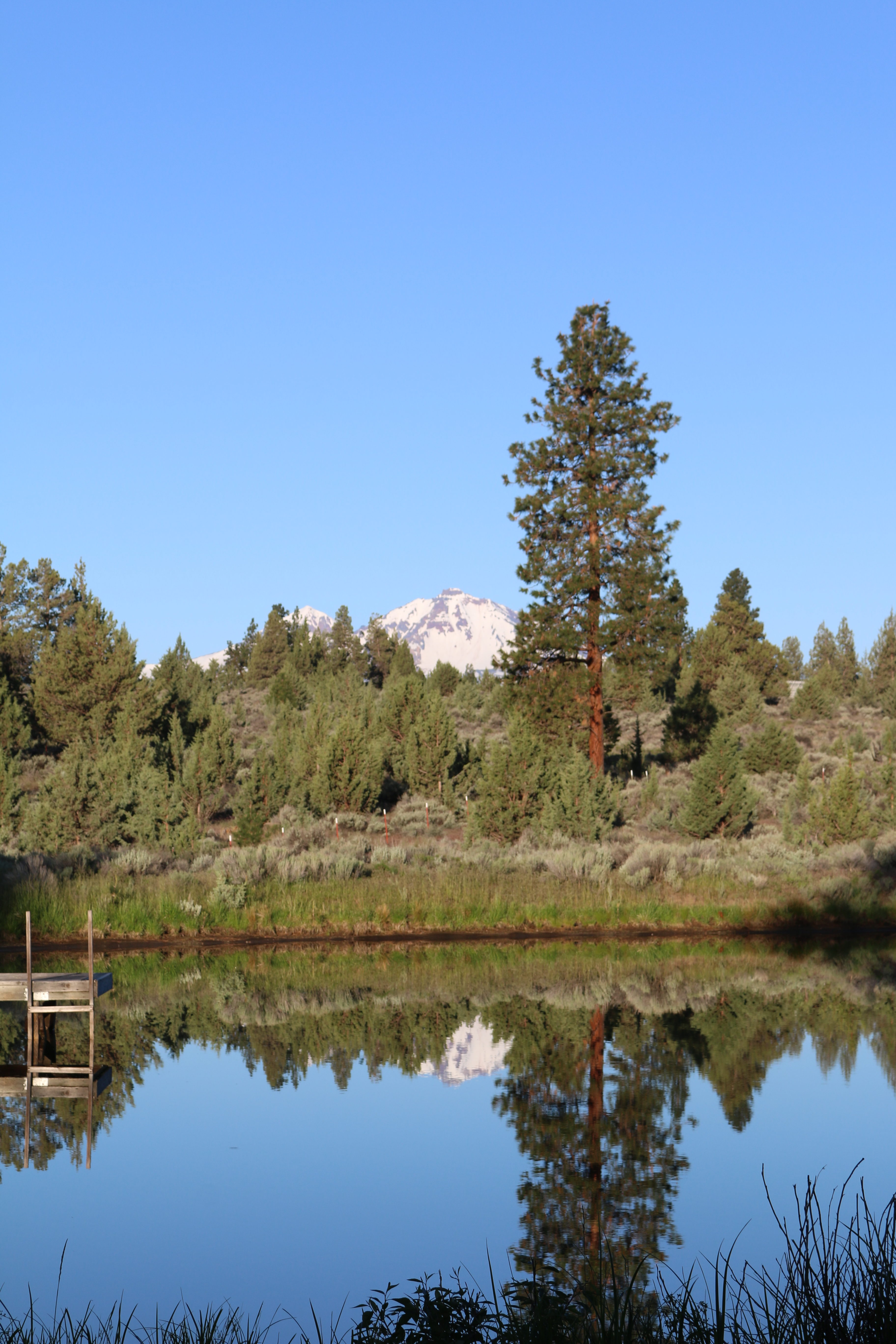 A mountain behind a forest, both reflected in a lake.