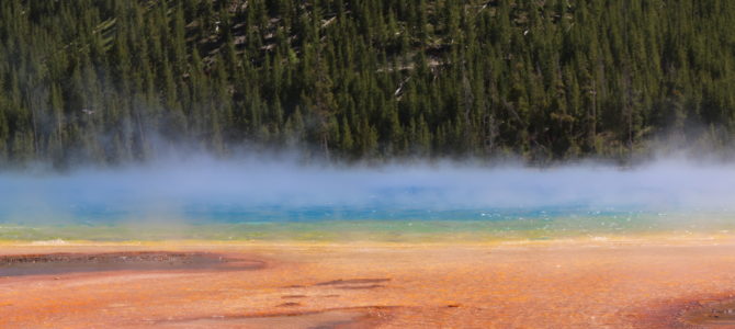 Day 23: Baker’s Hole Campground, MT to Madison Campground, Yellowstone National Park, WY