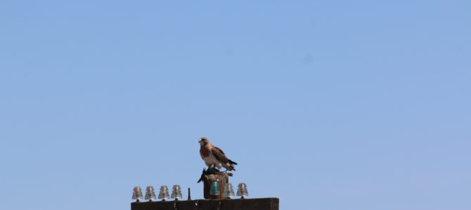 Day 35: Pueblo, CO to Haswell, CO