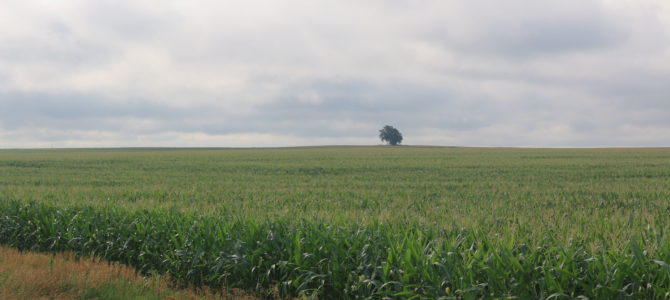 Day 41: Newton, KS to Eureka, KS